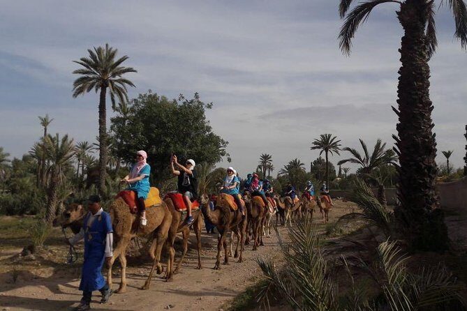 Experience Private Camel Ride - Who Will Love This Tour?