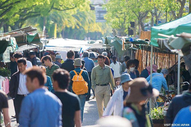 Experience the energy of Kochi: Sunday Market Tour includes Kochi Castle - Practical Details and What to Expect