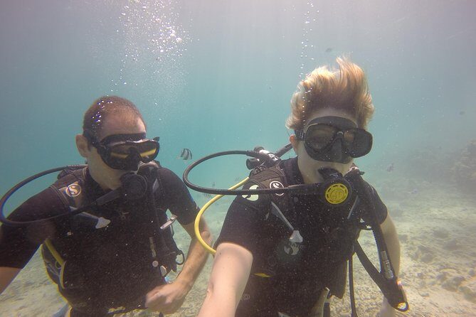 Exploration dives - A Typical Dive Day: What to Expect
