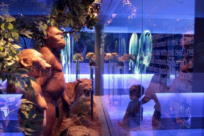 Exploration of the Cradle of Humankind: Sterkfontein Caves and Maropeng - Who Will Love This Tour?