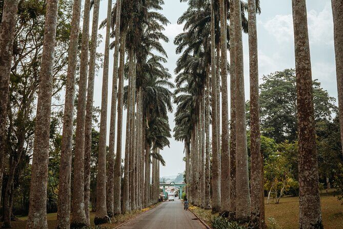 Explore Aburi Botanical Gardens And Boti Falls - Why This Tour is a Great Choice