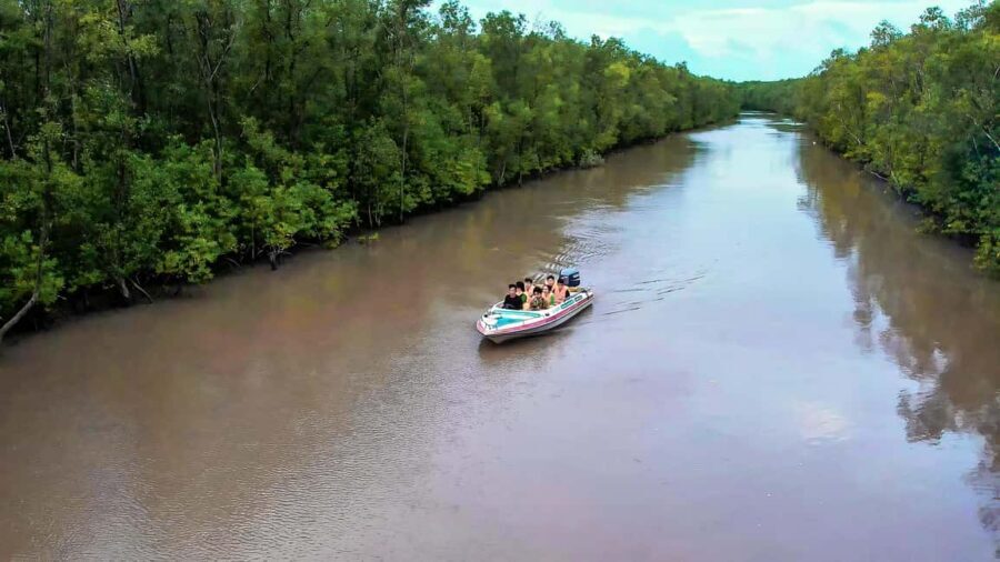 Explore Ca Mau: Dat Mui National Park - Who Should Consider This Tour?