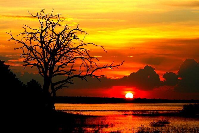 Explore Chobe National Park With a Day Trip from Victoria Falls - Practical Tips for Travelers