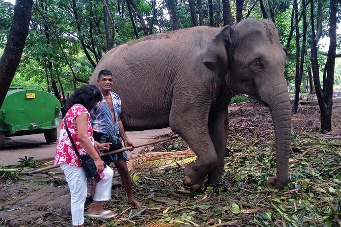 Explore Colombo by Tuk Tuk Morning & evening (Private Tours) - In-Depth Itinerary Breakdown