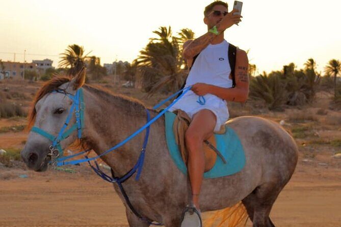 Explore Djerba by camel and horse - The Ride and Scenic Stops