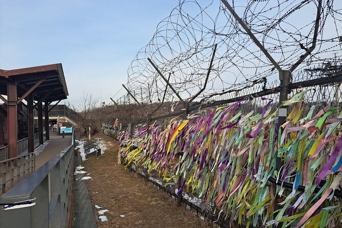 Explore DMZ from Seoul with Gondola and Suspension Bridge Option - Transportation, Group Size, and Overall Value