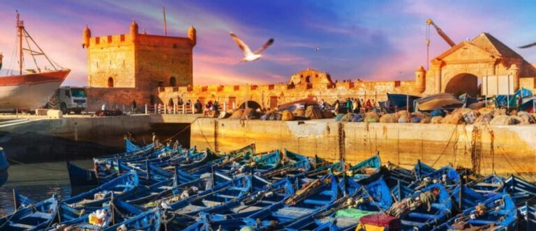 Explore Essaouira's Secrets: A Guided Tour with a Local! - What’s Included and What to Budget For