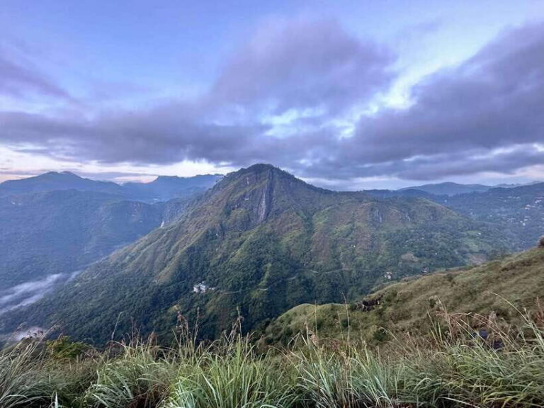 Explore hidden gems in Ella by Tuk Tuk - The Heart of the Tour: A Balanced Look at What You’ll See