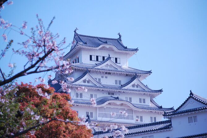 Explore Himeji Castle a Guided Walking Tour - Value and Practical Considerations