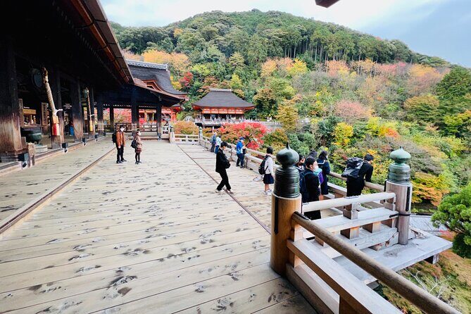 Explore History and Culture in Kyoto - Who Should Book This Tour?