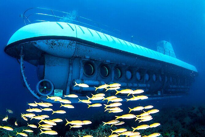 Explore Hurghada: Semi-Submarine Tour & Snorkeling  Hurghada - What Travelers Are Saying: Honest Feedback