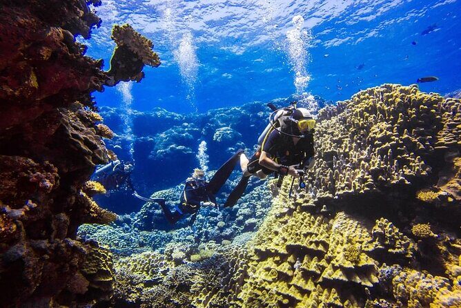 Explore Hurghada Two Thrilling Boat Dives for Certified Divers - The Itinerary Breakdown
