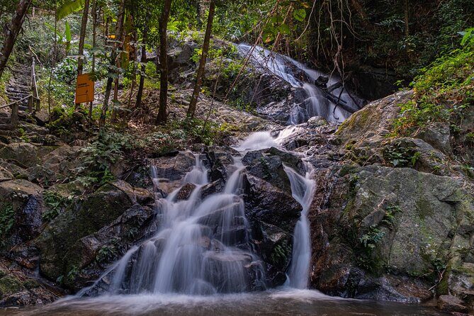 Explore Mae Kampong Village from Chiang Mai City - Final Thoughts: Is It Worth It?