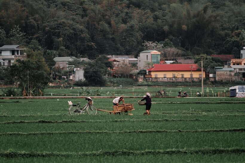 Explore Mai Chau 1 Day from Hanoi - Why This Tour Offers Good Value