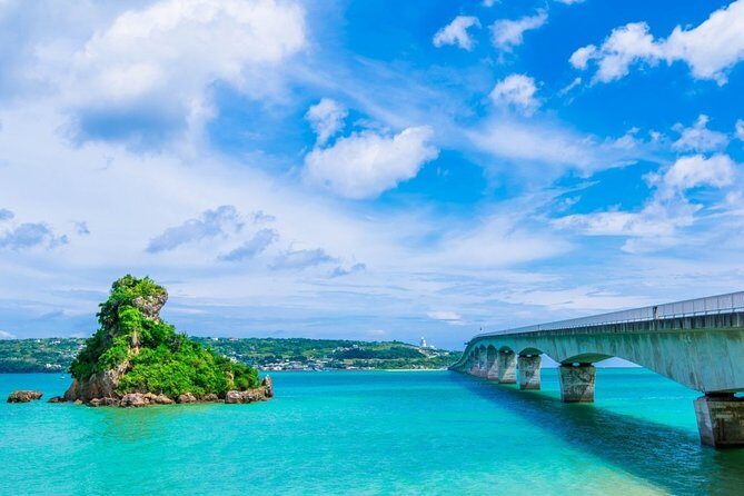 Explore Okinawa with Private Sedan Car Hire Driver - Final Thoughts