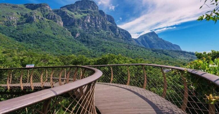 Explore Table Mountain, Kirstenbosch, & Constantia wineries. - Who Will Love This Tour?