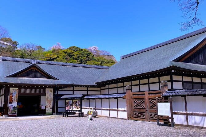 Explore the Historic Castle Town of Hikone from Kyoto - Who Should Consider This Tour?