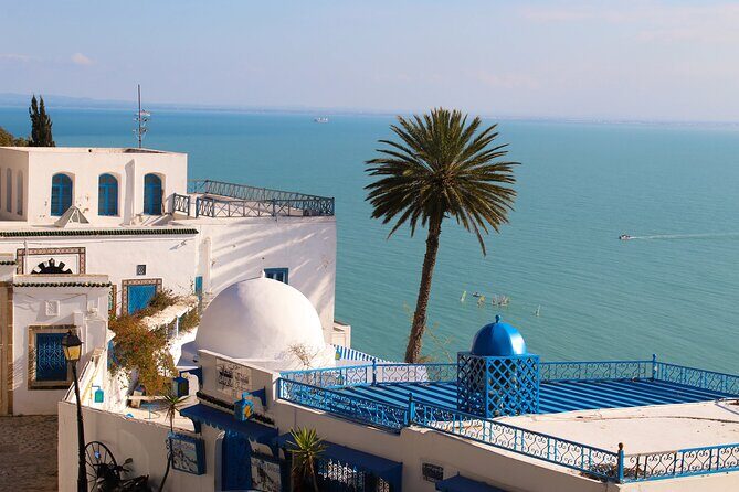 Explore Tunisia in Depth:The Private Grand Tour in 8 Days - Day 1: Welcome to Tunis