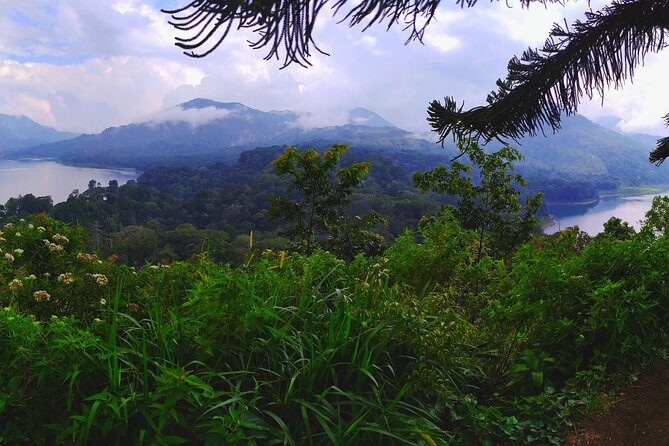 Explore Twin Lake Jungle Trekking and Canoeing - What the Tour Includes and What Costs Extra