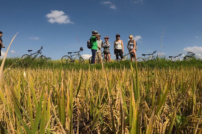 Explore Ubud with Electric Bike - Who Should Consider This Tour?