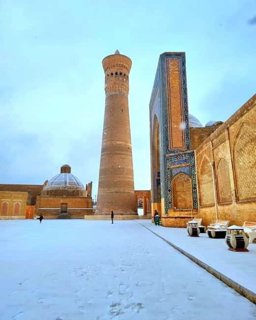 Explore Uzbekistan: 14 Days Private Guided Tour - Transportation and Logistics