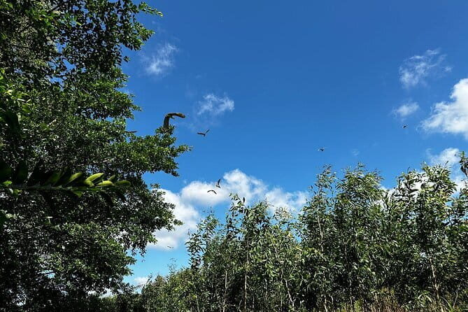 Explore Wetlands and Nature Reserve from Can Tho - What Travelers Say