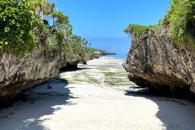 Explore Zanzibar's 6 Quintessential Southeastern Charm Full day - What’s Included and What’s Not