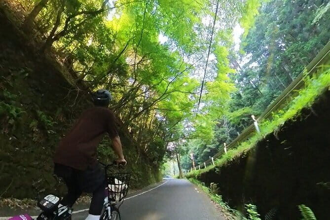 Exploring Arashiyama in a small group? E-bike tour is perfect! - Why This Tour Is a Great Choice for Kyoto Visitors