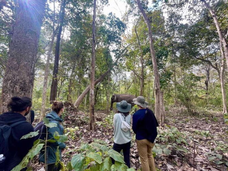 Exploring Don Village & Yok Don National Park - Practical Tips for Travelers