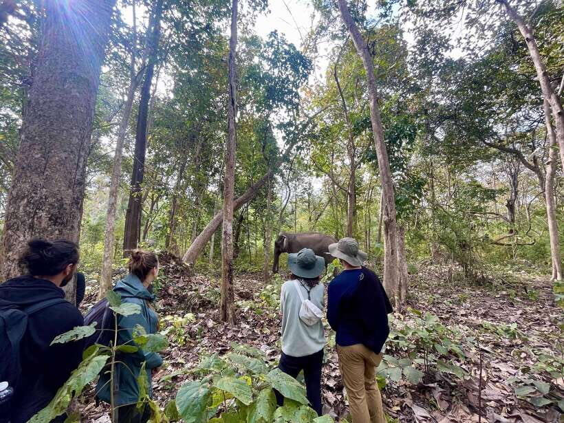 Exploring Don Village & Yok Don National Park - Practical Tips for Travelers