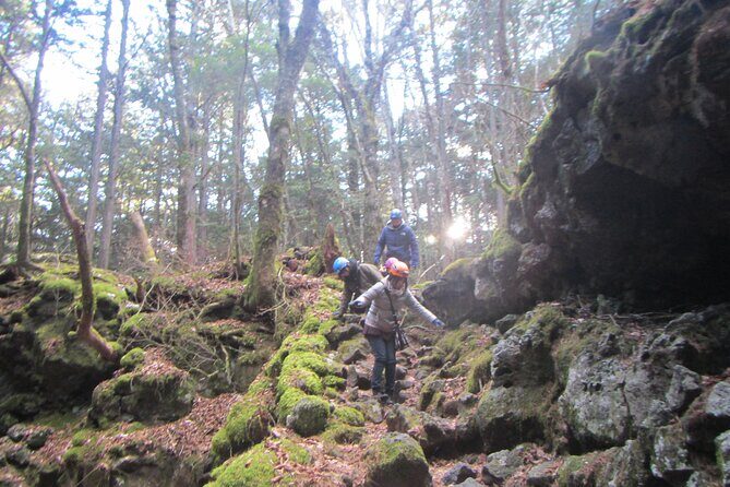 Exploring Mt Fuji Ice Cave and Sea of Trees Forest - FAQ