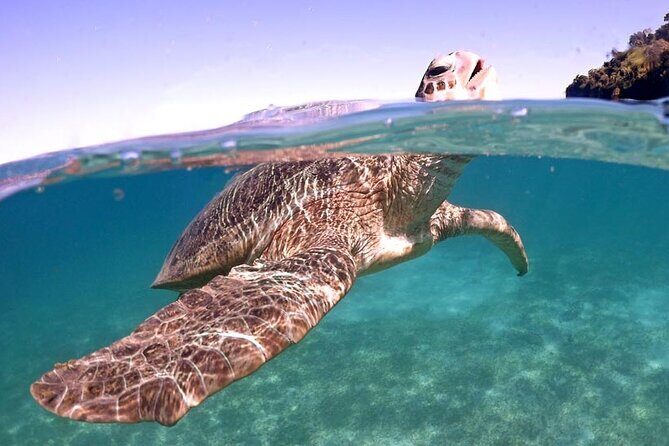 Exploring Nosy Sakatia with guide - Who Will Love This Tour?