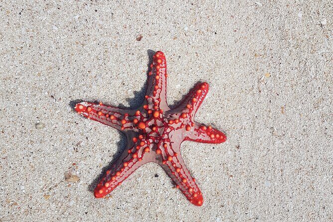 Exploring the Hidden Gems of Zanzibar - Frequently Asked Questions