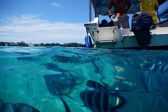 Exploring the Magnificent East of Mauritius: Full-day incl Blue Bay Marine Park - Who Will Enjoy This Tour?