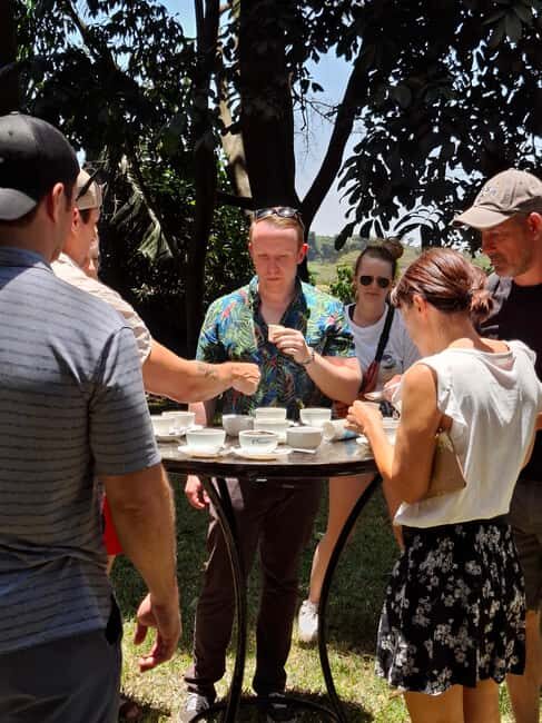 Fairview Coffee Estate day Tour - The Itinerary in Detail