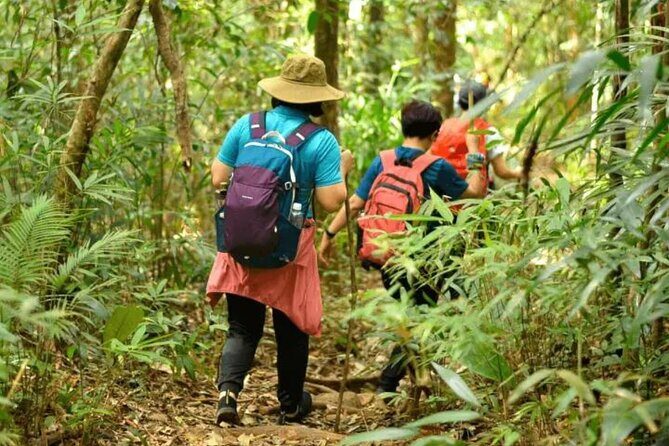 Fansipan Trek One Day Tour Roof of Indochina - Authentic Reviews and Insights