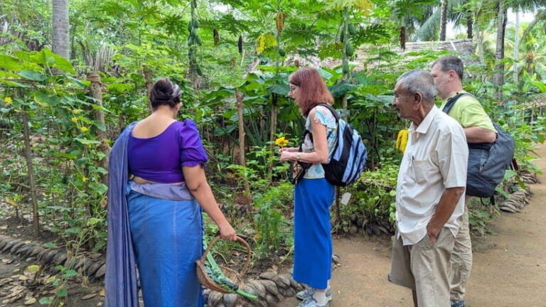 Farm to Table Cooking Class & Authentic Village Experience - What You Can Expect from Start to Finish