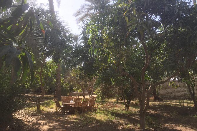 Farm-To-Table Tour With An Adventure To Bent & Red Pyramids - The Itinerary: What to Expect