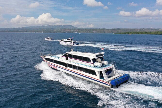 Fast Boat Transfer Sanur to Nusa Lembongan by Penidago - Meeting Point and Check-In