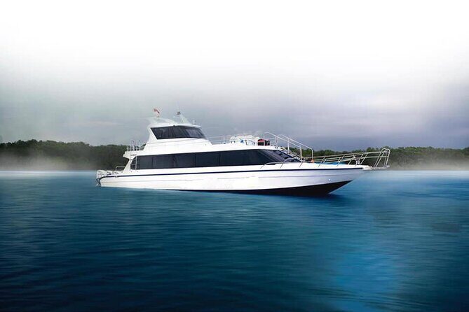 Fast Boat Transfer Sanur to Nusa Penida by Penidago - The Departure and Arrival Experience