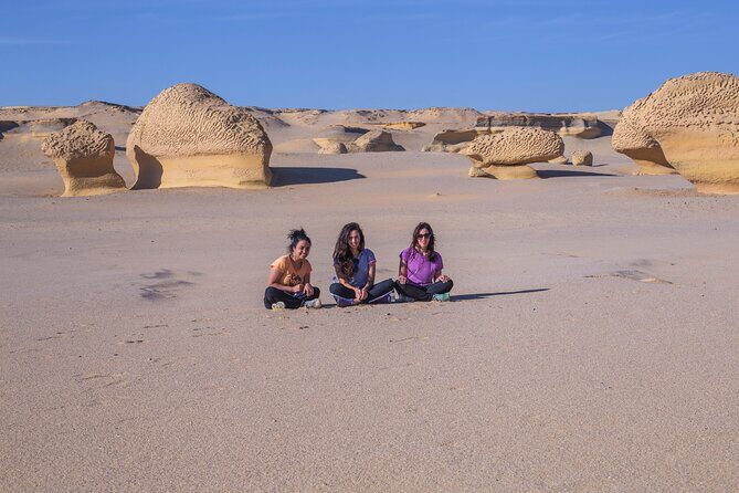 Fayoum Day Tour - Wadi El Rayan,Valley of the Whales,Magic Lake - What Travelers Say