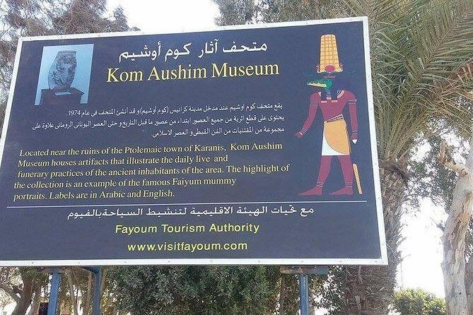 Fayoum Oasis & Wadi Al Rian Day Tour from Cairo - The Experience & Value