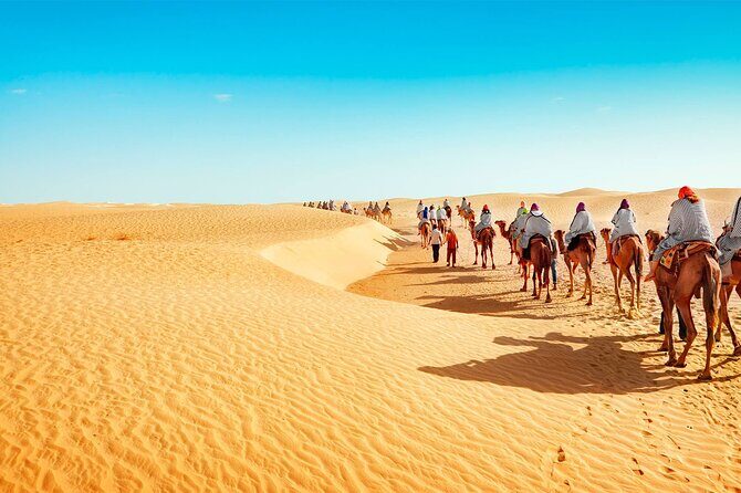 fes 3 days desert tour - What the Reviews Say
