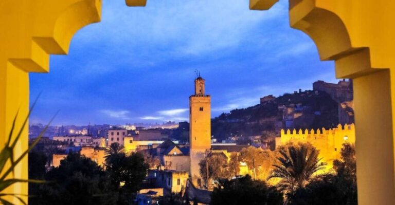 Fes : Cultural Day Tour - Who Will Love This Tour?