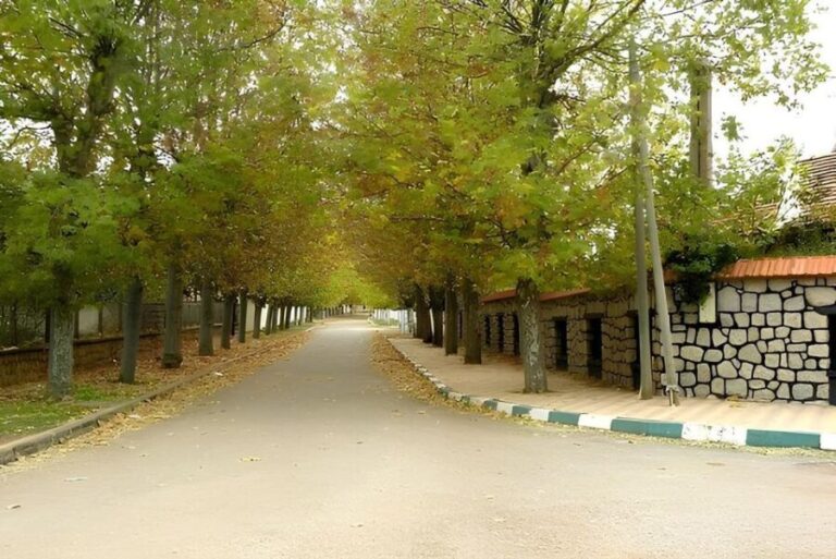 Fes: Day Trip to Middle Atlas: Imouzzer, Ifrane, Azrou - Practical Details and Value
