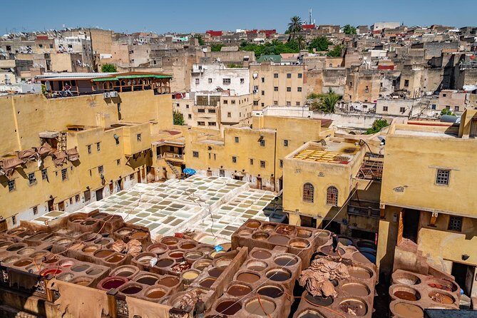 Fes Guided Tours Full Day - A Deep Dive into the Experience