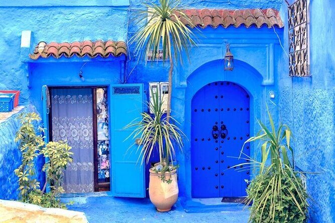 Fes to Chefchaouen Day Trip - Transport & Guide Experience