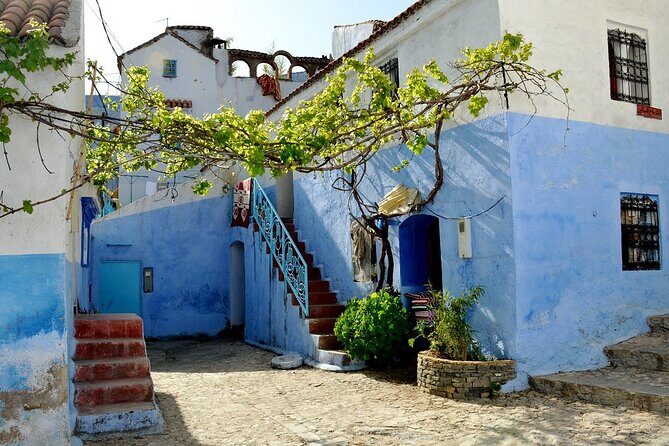 fes to chefchaouen day trip - The Scenic Drive and Mountain Views
