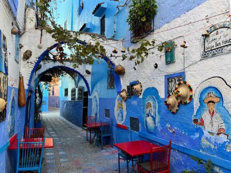 Fes to Chefchaouen Day Trip multi languages(EN/FR/ES/IT/AR) - What the Tour Includes and What It Doesn’t