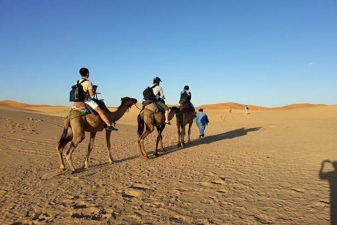 Fes to Fes 2 days desert tour - Why This Tour Offers Great Value